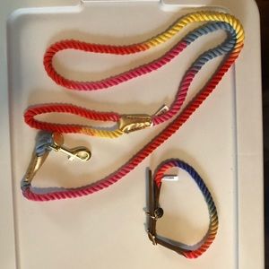 Vibrant Life 6' Polyester Mosaic Rope Dog Leash, Multi-Color and collar